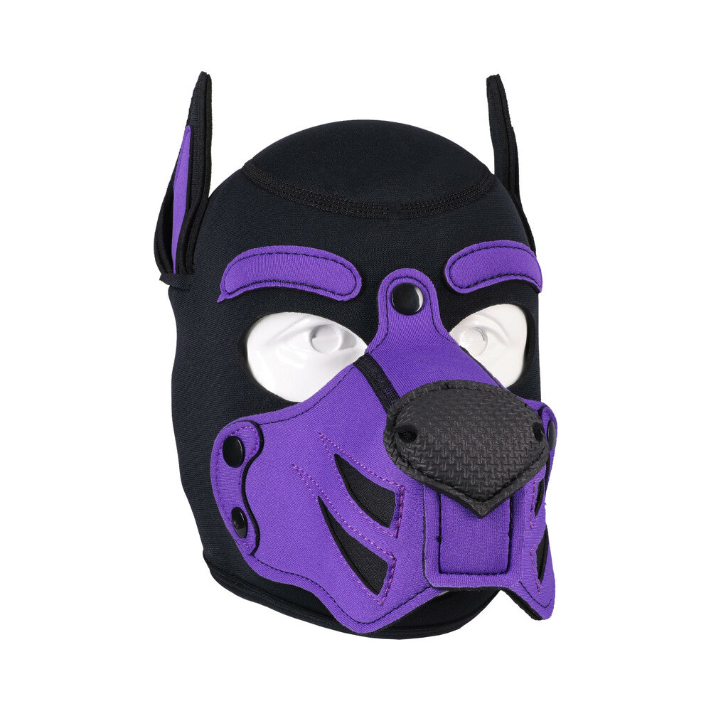 Merci Puppy Hood Neoprene Violet/Black