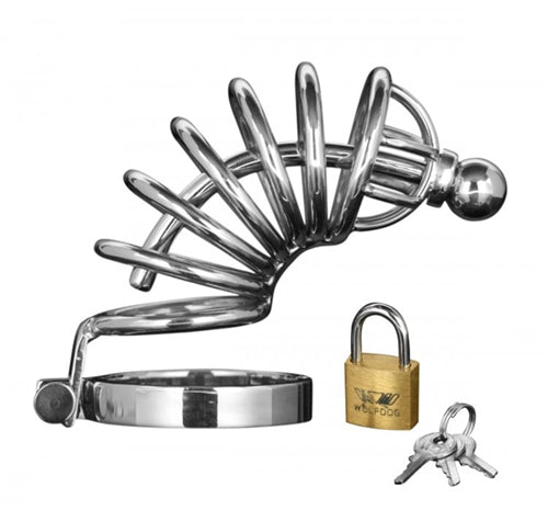 Asylum 6 Ring Locking Chastity Cage - Medium/large