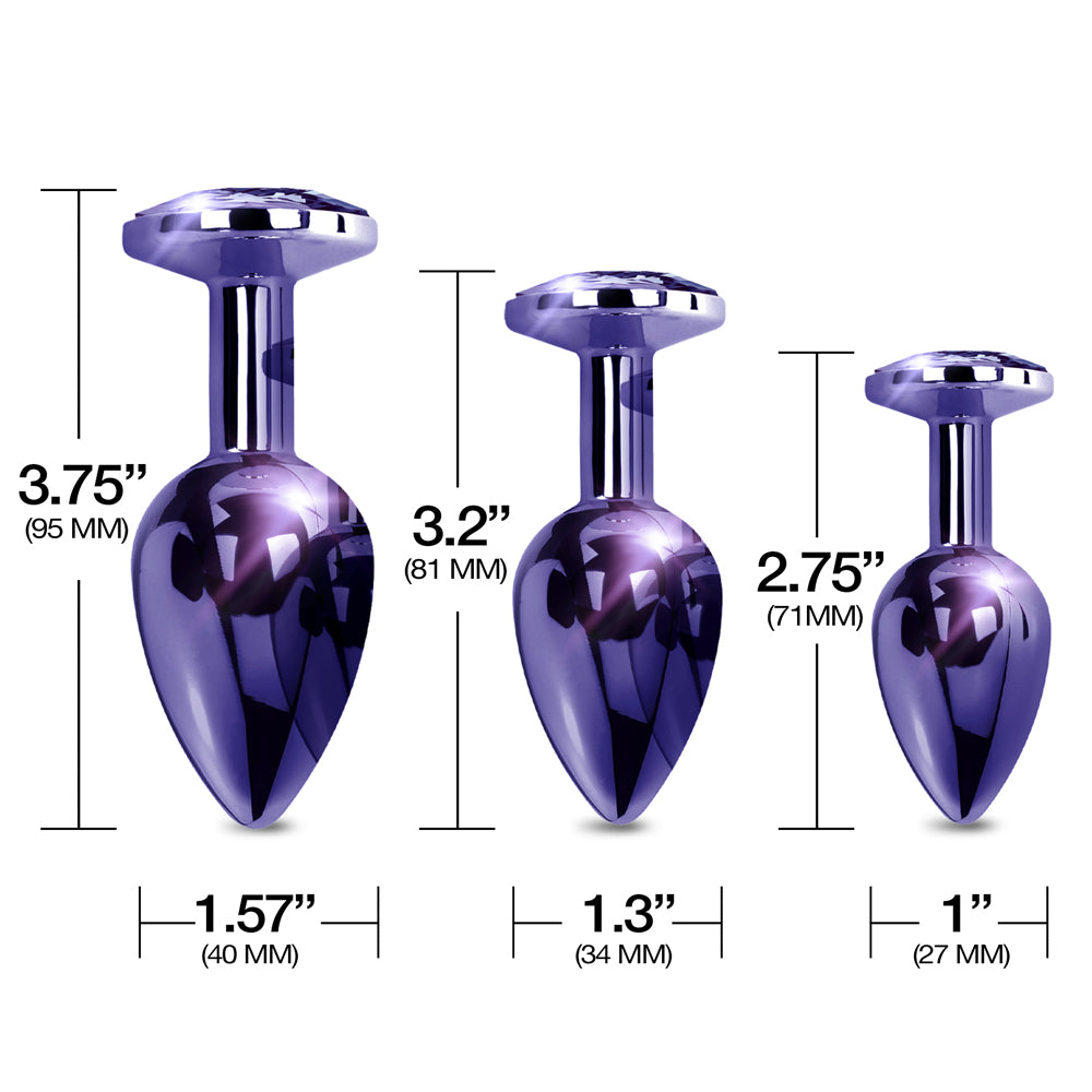 Nixie Metal Butt Plug Trainer Set Purple Metallic