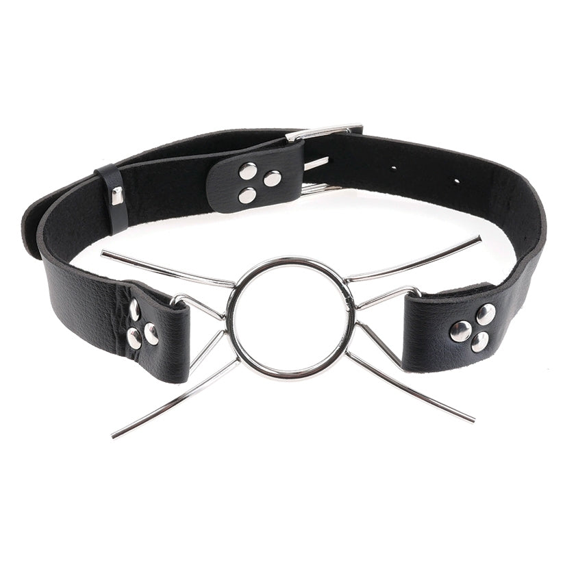 Fetish Fantasy Extreme Spider Gag
