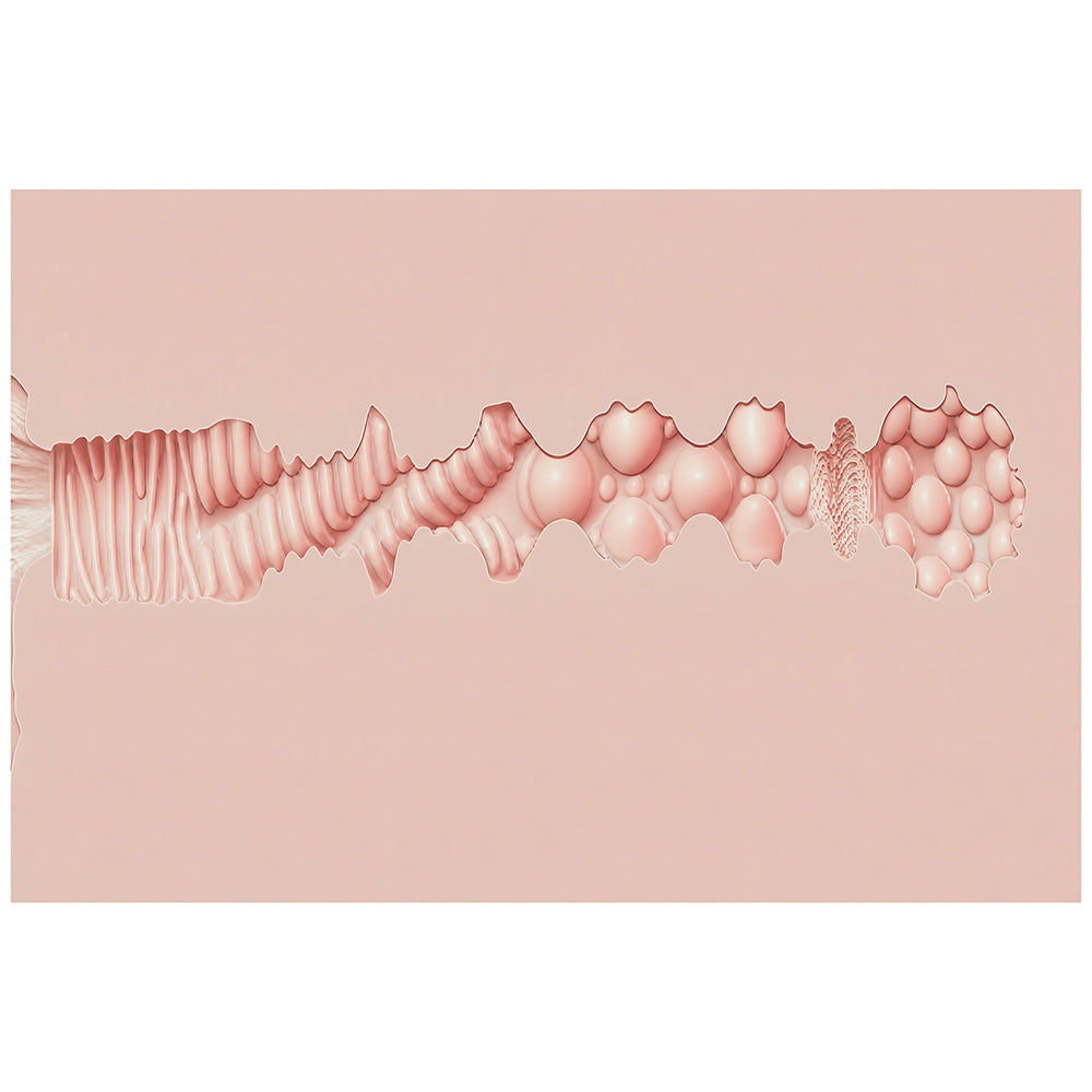 XKIN Body-Forms Stav Stone Ass Vibration + Suction + Voice Masturbator