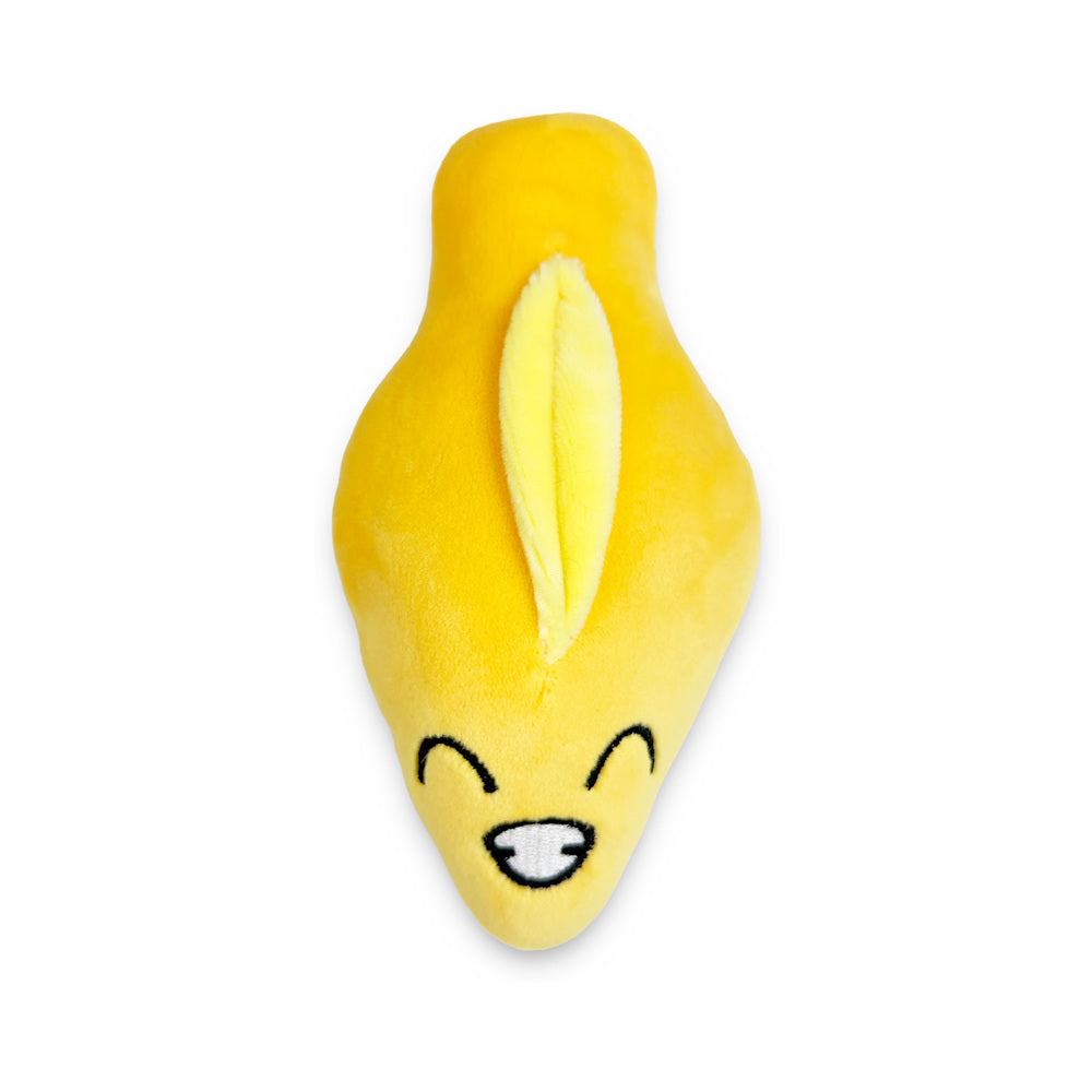 Bag Of Cunts Plushy Pillows