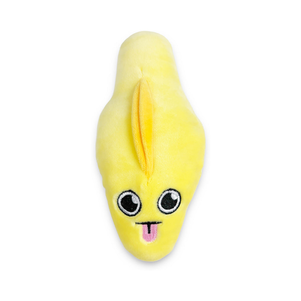 Bag Of Cunts Plushy Pillows