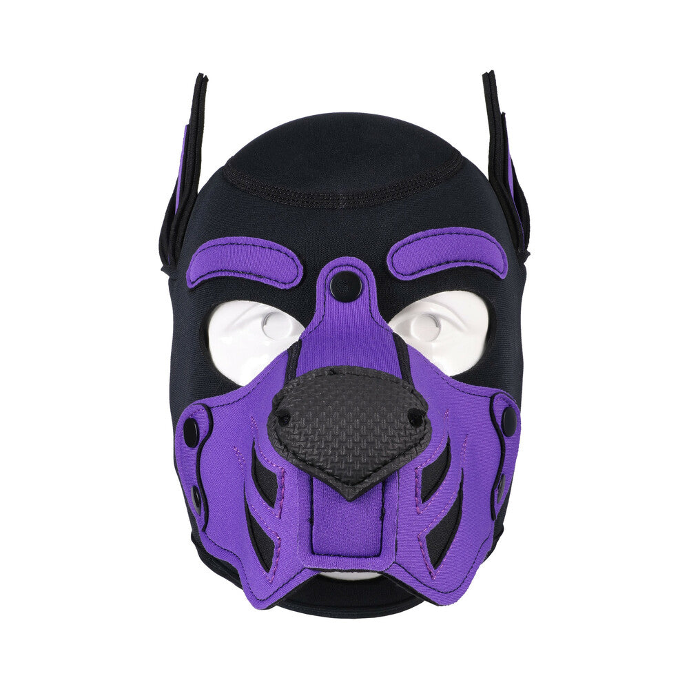 Merci Puppy Hood Neoprene Violet/Black