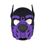 Merci Puppy Hood Neoprene Violet/Black