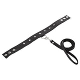 Leather Collar & Leash Set