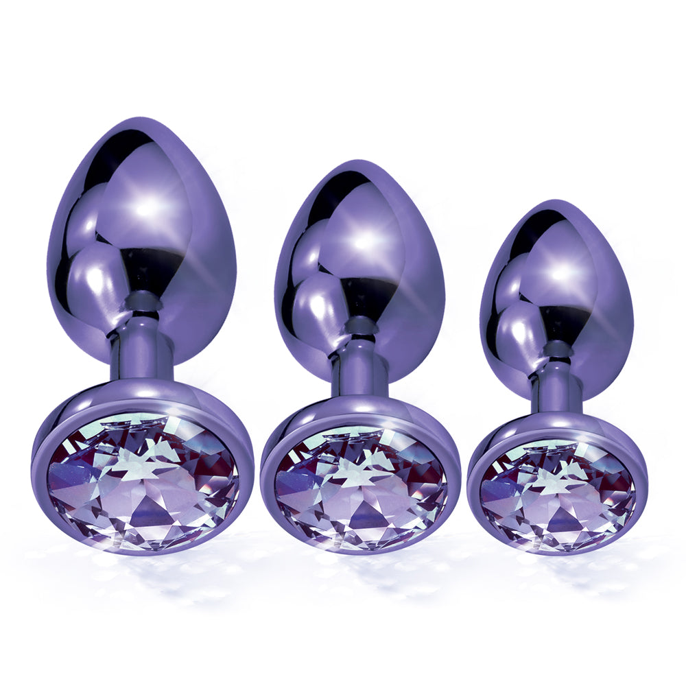 Nixie Metal Butt Plug Trainer Set Purple Metallic