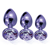 Nixie Metal Butt Plug Trainer Set Purple Metallic