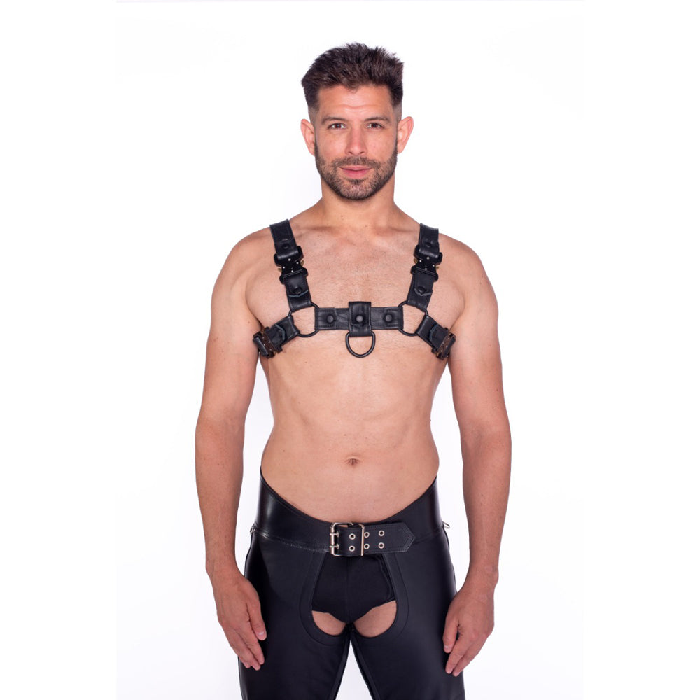 Prowler RED Bull Harness Black with Metal Fittings M