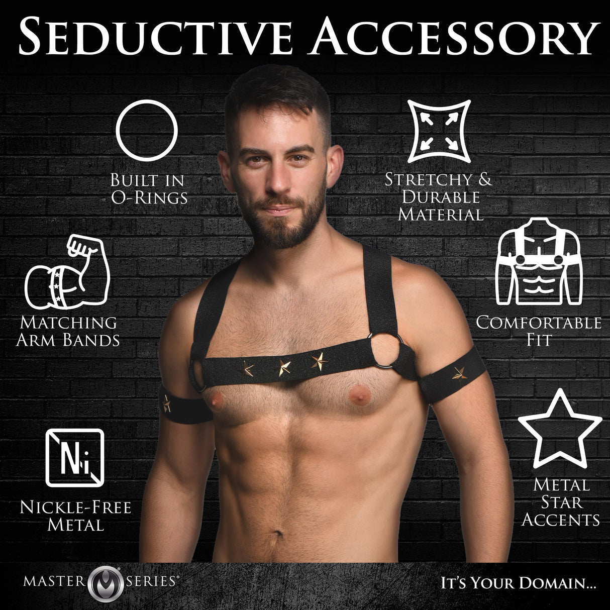 Star Boy Male Chest Harness with Arm Bands - L/XL