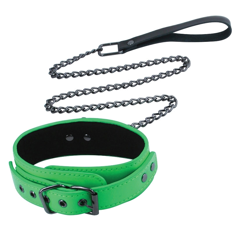 Electra Collar And Leash
