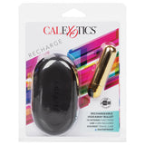 Rechargeable Hideaway Bullet