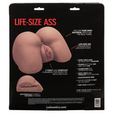 Stroke It Life Size Ass