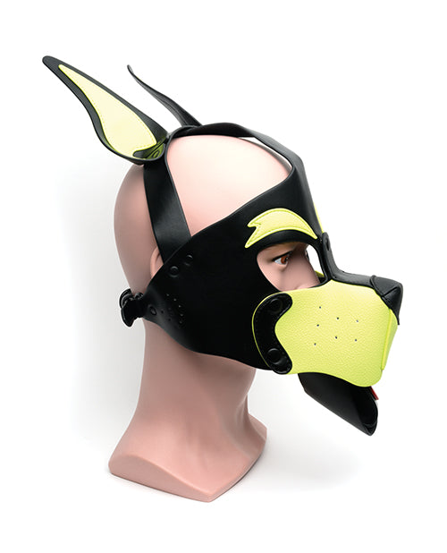 665 Playful Pup Hood - O/S