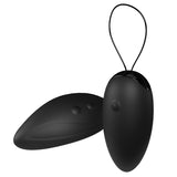 My Secret Premium Dual Vibe Remote And Egg-Black