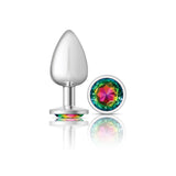 Cheeky Charms-Silver Metal Butt Plug- Round-Rainbow