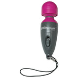 PalmPower Micro Massager