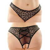 Daisy Crotchless Lace Panty-Black