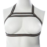 Gender Fluid Silver Lining Harness-Rainbow Glitter