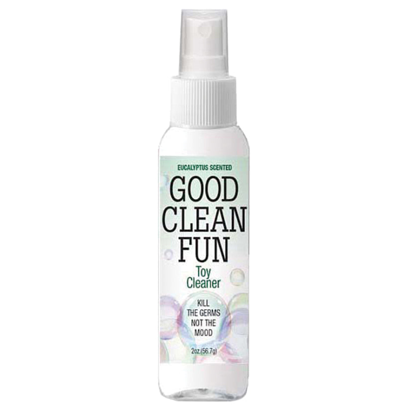 Good Clean Fun Toy Cleaner 2oz