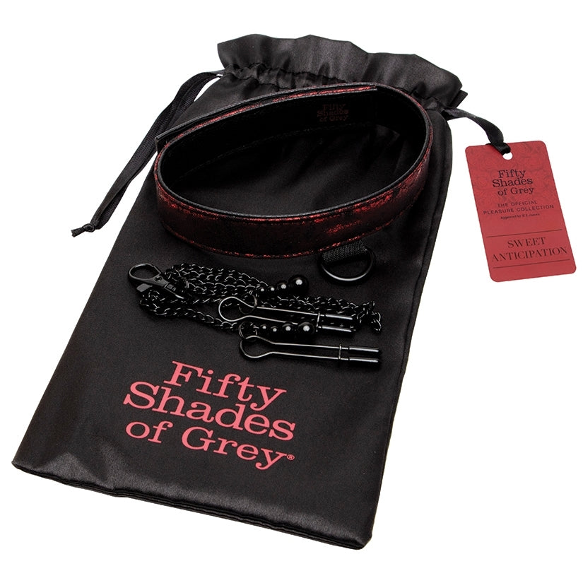 Fifty Shades Of Grey Sweet Anticipation Collar Nipple Clamps