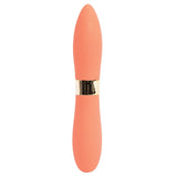 Sensuelle Double Ended Deux Bullet