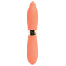 Sensuelle Double Ended Deux Bullet