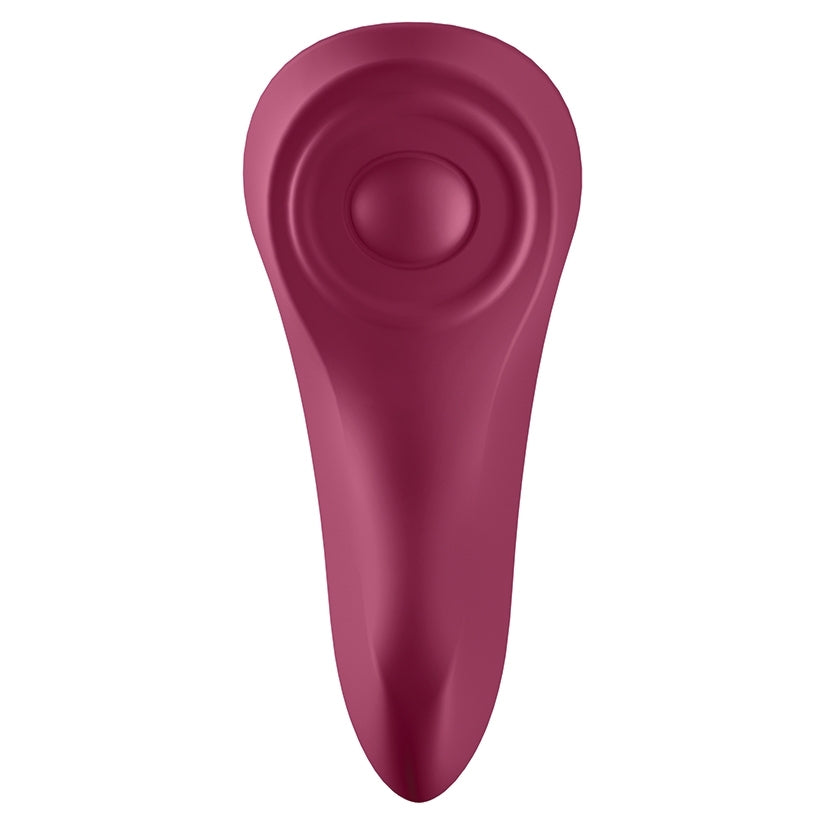 Sexy Secret Panty Vibrator-Wine Red