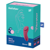 Sexy Secret Panty Vibrator-Wine Red