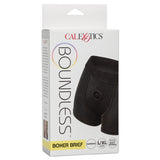 Boundless Boxer Brief