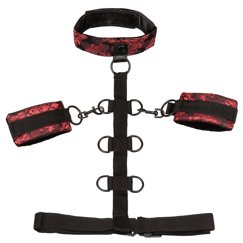 Scandal Collar Body Restraint-Red